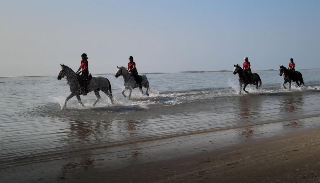 Willa Brussa Horse Oasi Caorle Zewnętrze zdjęcie