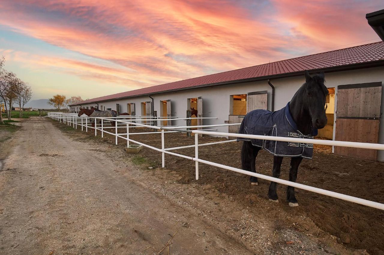 Willa Brussa Horse Oasi Caorle Zewnętrze zdjęcie