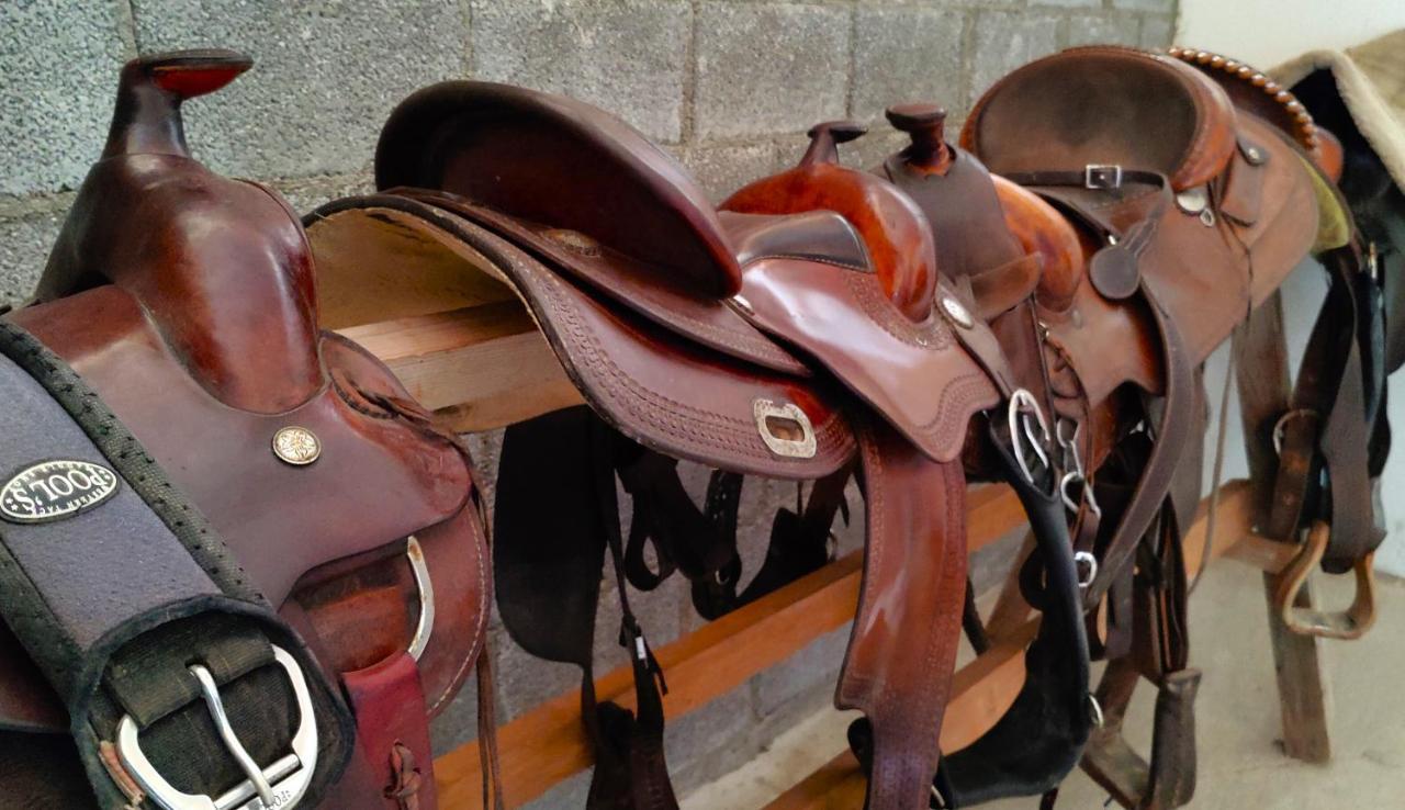 Willa Brussa Horse Oasi Caorle Zewnętrze zdjęcie
